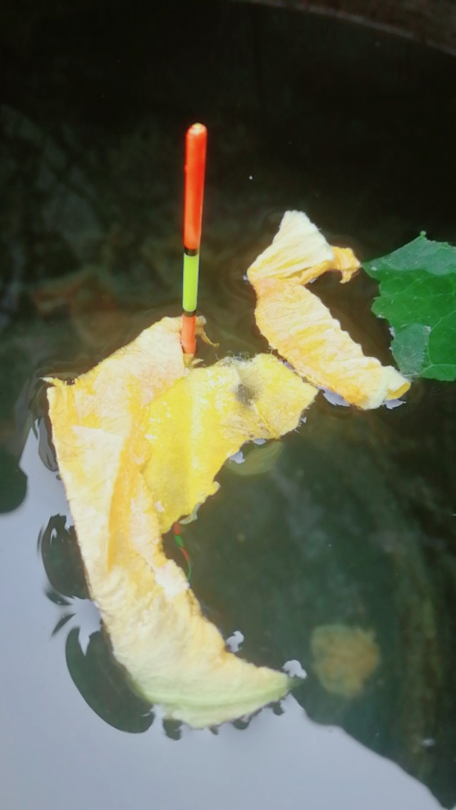 新手必须学习的调漂技巧,五步调漂的正确方法与技巧