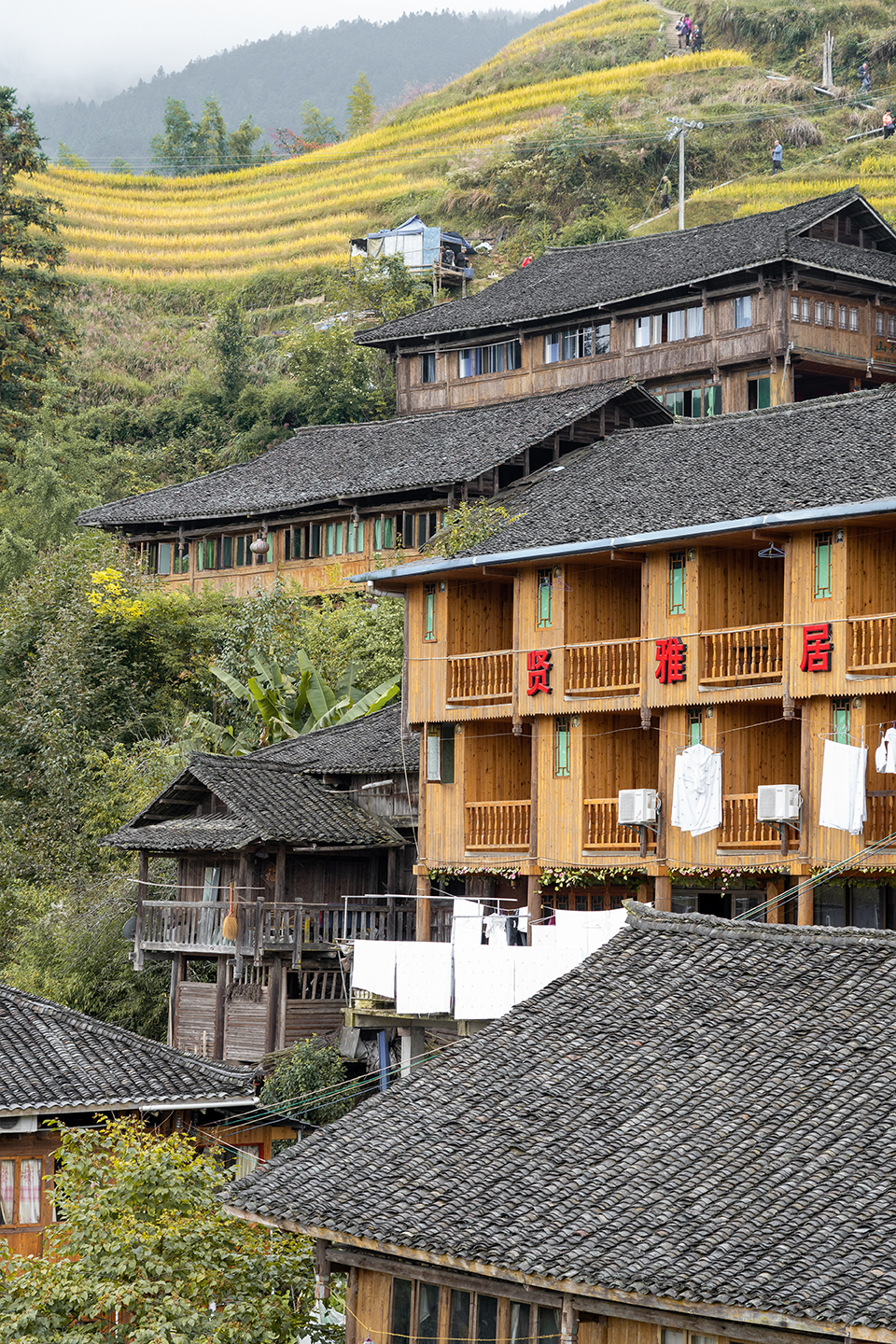 世界奇观龙脊梯田视频,世界梯田之冠桂林龙脊梯田