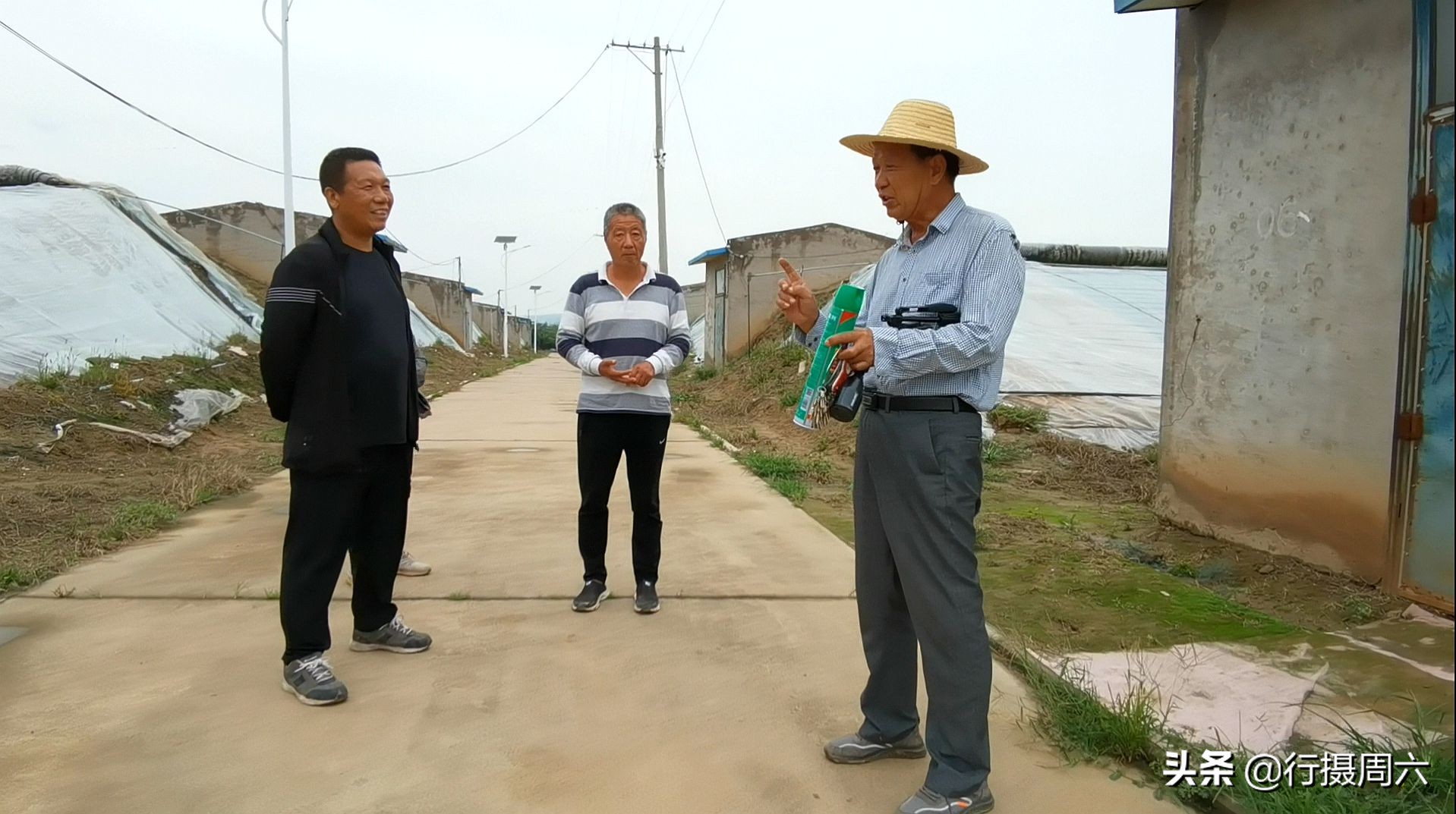 山西农民创奇迹,研究枣树管理技术10年,实现1年能结2次果