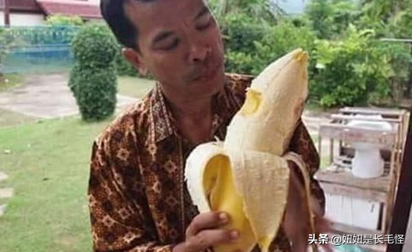 世界上最大芭蕉果的视频,世界上最大芭蕉多少斤重