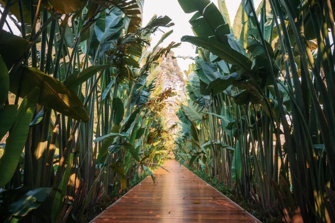 广西崇左秘境丽世度假村看瀑布,广西崇左秘境丽世度假村景点