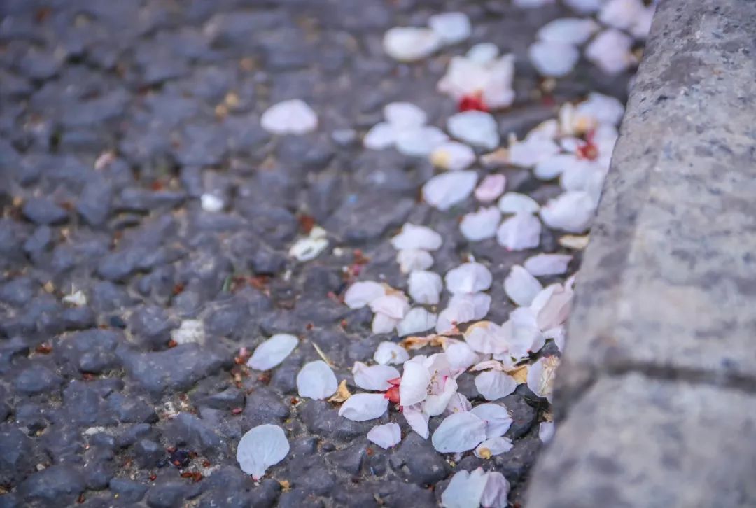 西南民大值得去读吗,西南民大是什么级别