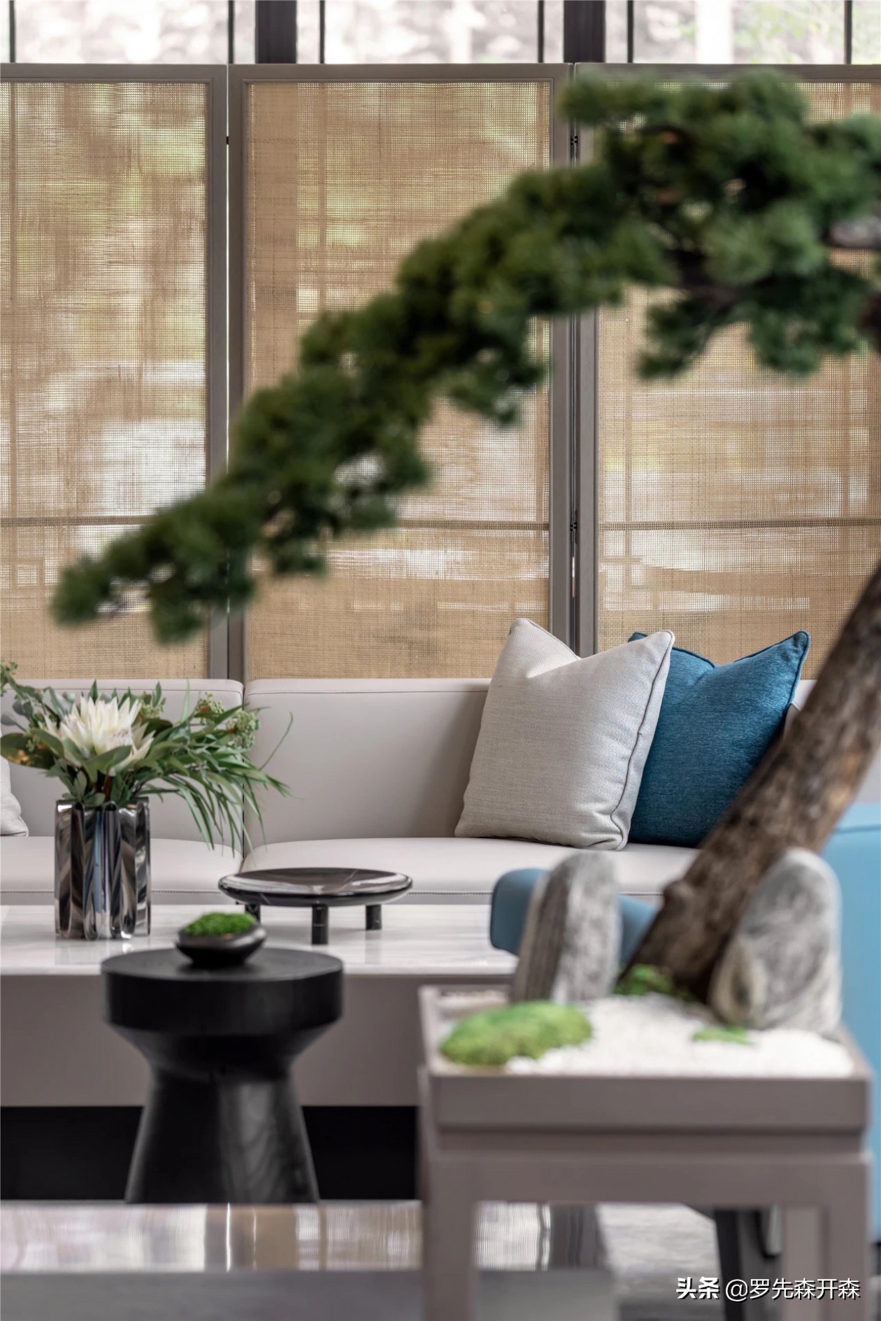 乌镇雅园生活攻略,乌镇雅园入口景观