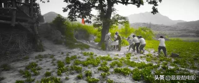 鍗庤鐢靛奖閬楃彔,2019鍗庤鐢靛奖閬楃彔