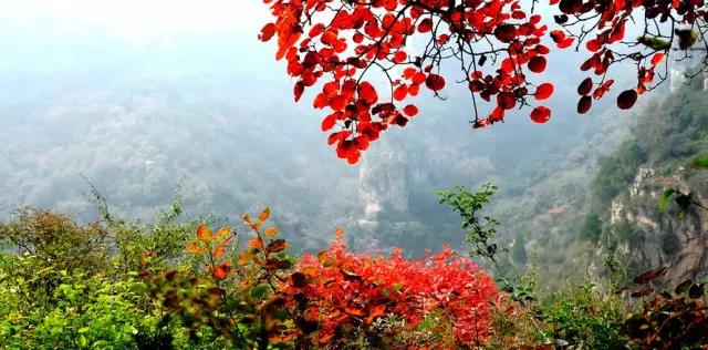 重阳节登高山,重阳节登高好去处