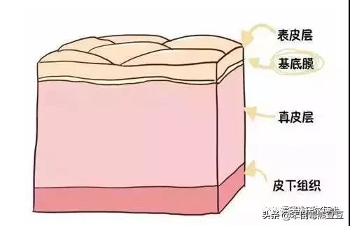 李佳琦推荐的福瑞达玻尿酸安瓶,福瑞达玻尿酸玻色因