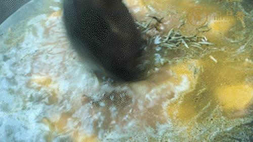 福鼎白茶还有“十不采”规定?让我们去河山有机茶园一探究竟