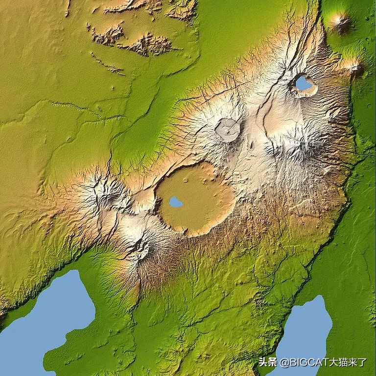 精子异常，雄狮不得不和母亲女儿交配，这个狮群深陷*亲近**繁殖困境