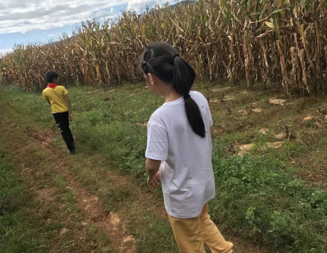 以爱育爱以智启智,以爱育爱让每个生命精彩绽放