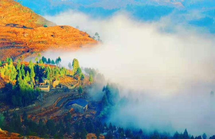 温州5个宝藏古村,温州宝藏打卡地