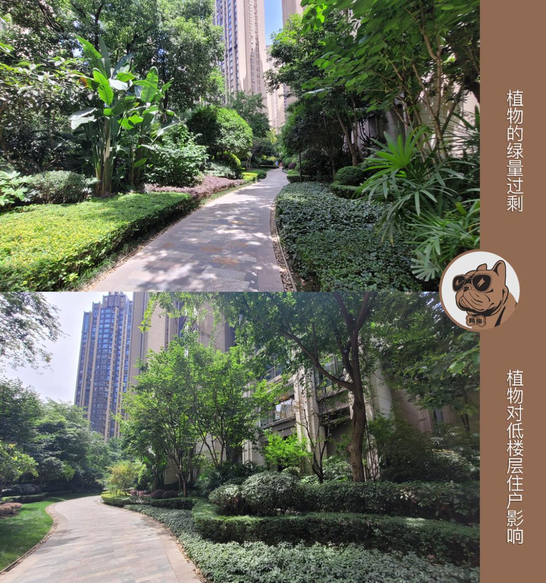 仁恒滨河湾一二三期差距,仁恒滨河湾最好地段