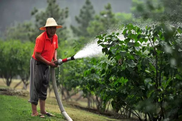 北京房山团建踏青地点推荐,北京房山春季旅游最佳去处