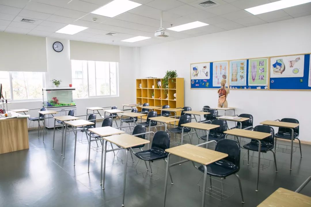 武汉最难进的12所学校,武汉最难进小学