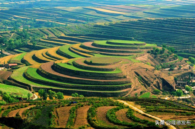 70年·夸夸我的城｜固原：吾心安处是吾乡，蓄势待发未来可期！