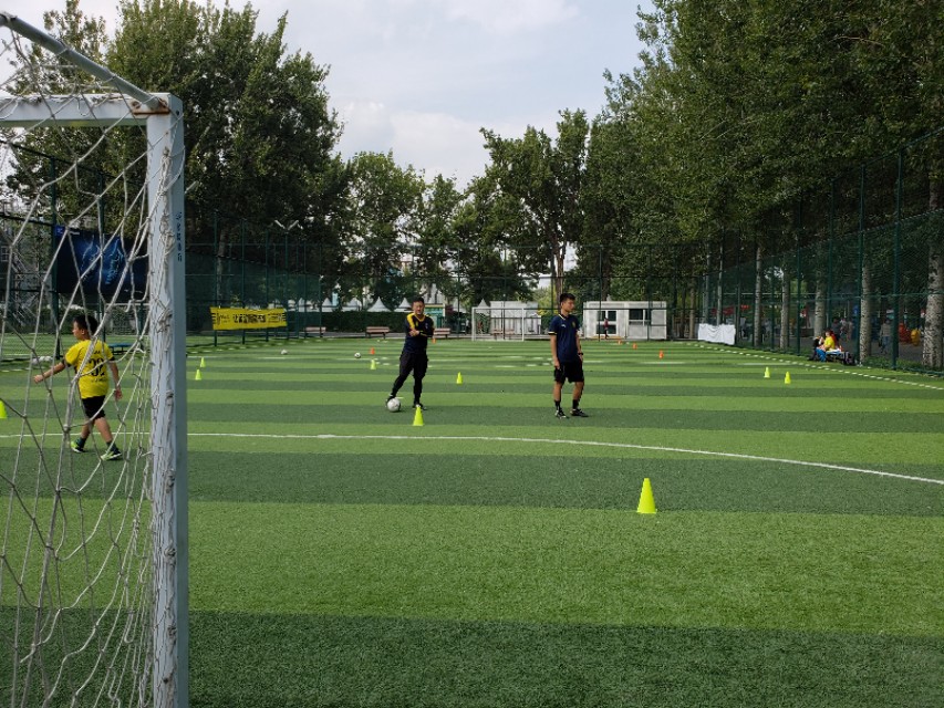 北京适合带娃遛狗的公园推荐,北京适合带娃溜达的公园