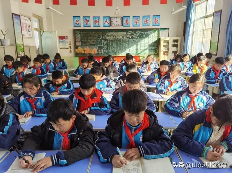 华燕小学落实双减政策,双减政策小学实施方案