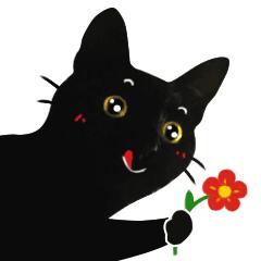 黑猫真的能看到人看不到的东西吗,黑猫真的有那么可怕吗