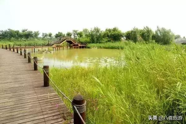 山东夏天值得去的旅游景点,夏天适合去的湖泊