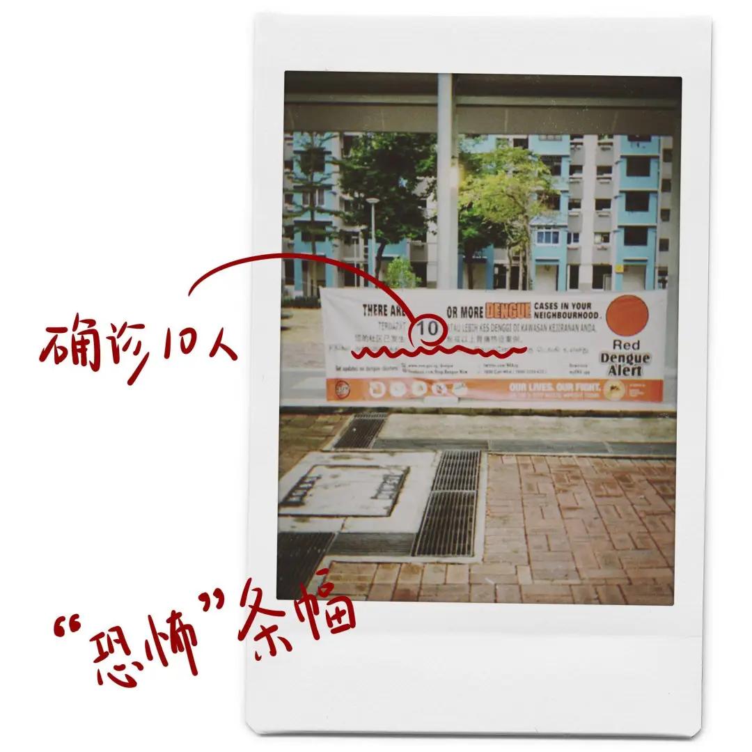 留学生境外安全问题,留学生现在美国安全吗