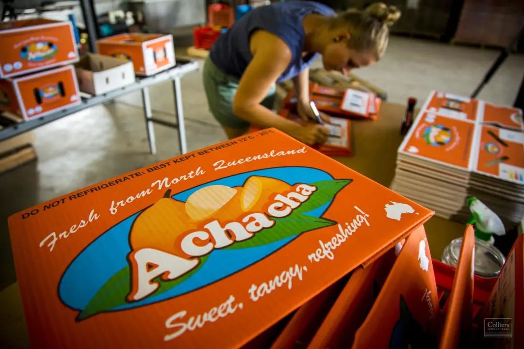 澳洲水果的营养价值,澳洲必吃的10种水果