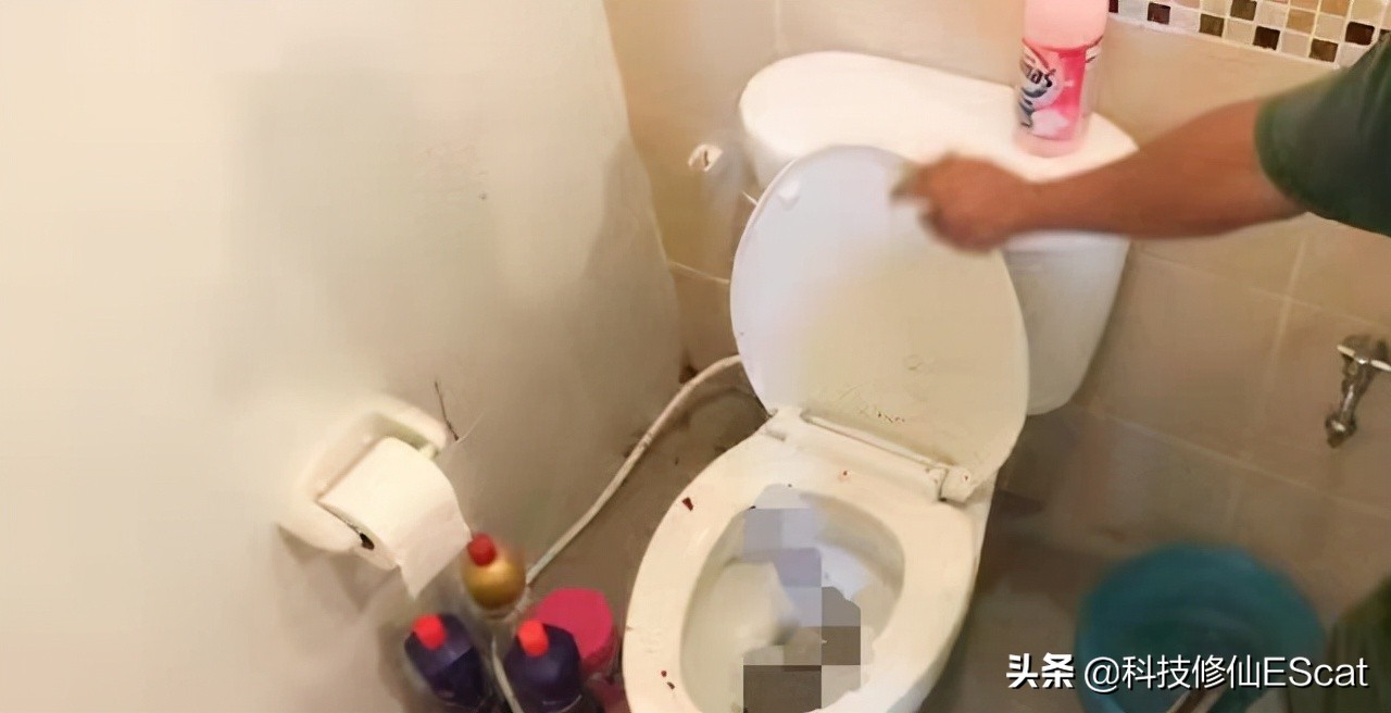 两条毒蛇互相咬会怎么样,两条毒蛇相互咬一口都会死吗