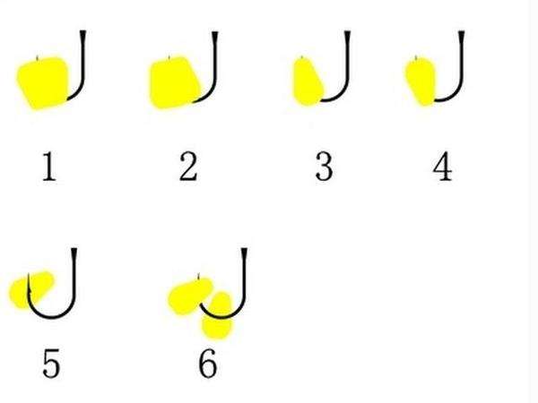 玉米钓大鲤,玉米钓大草鱼