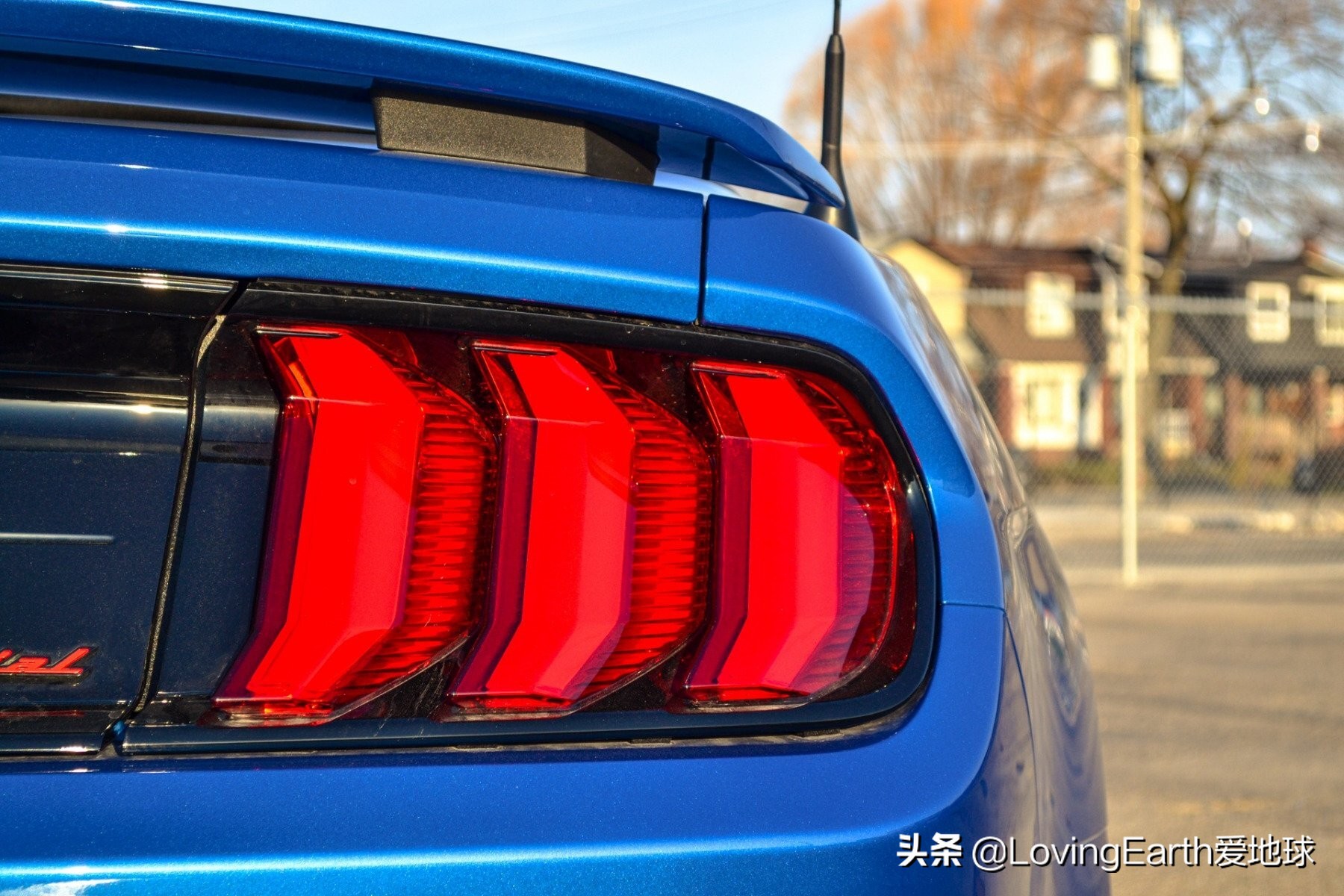 福特野马gt豪华跑车2024,福特野马gt敞篷加州限量版