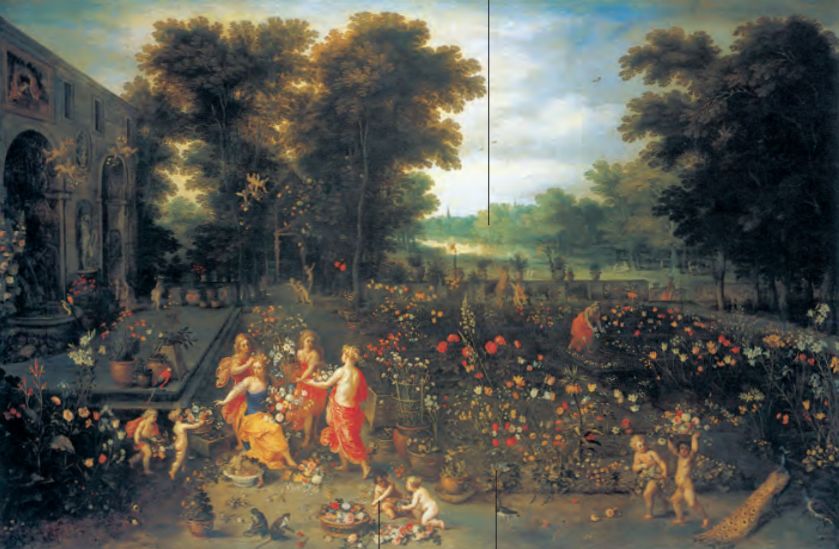 红衣主教来源,红衣主教月季分布区域