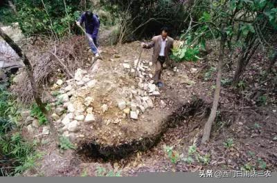 金属探测仪探测古墓,哪里能买到金属探测器