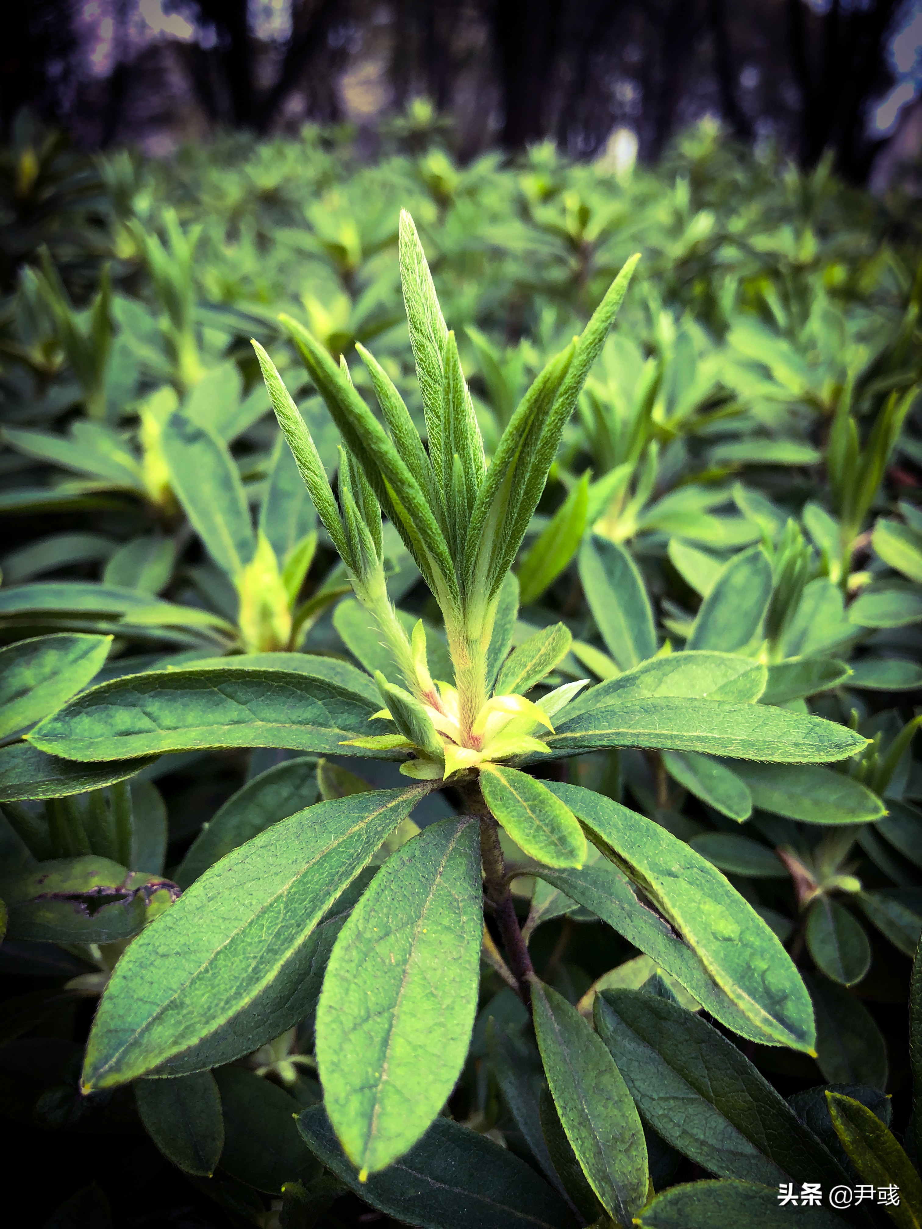 专业英语Day98丨顾客是企业存活的命脉