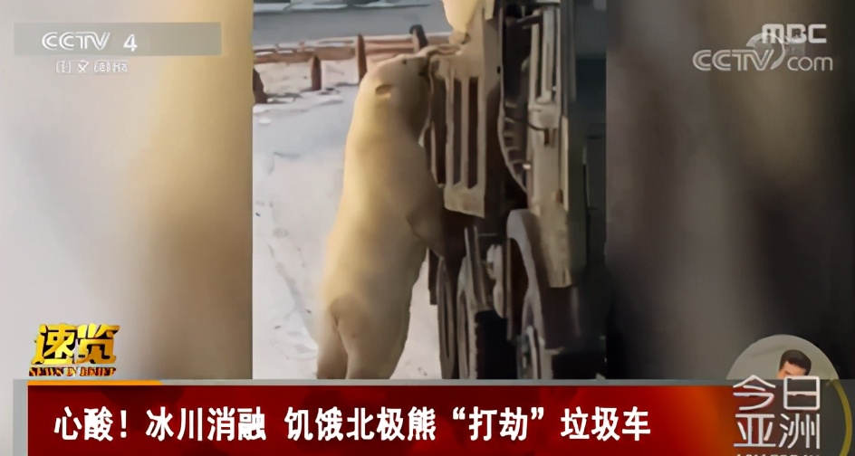 女子系鞋带被同伴推入水库,女子系鞋带被同伴推入水中后续