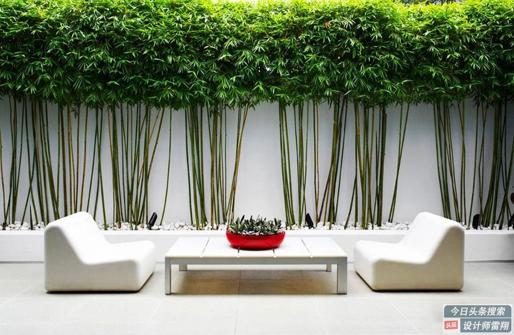 小院草坪如何养护,庭院绿化最佳养护方法