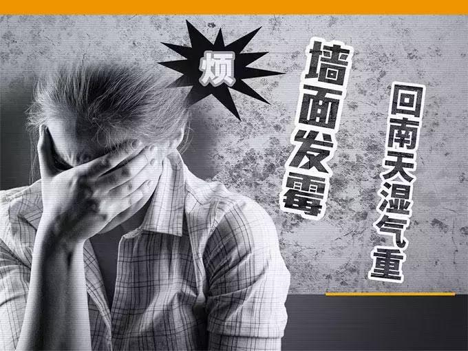 「服务」回南天如何让讨厌的霉菌滚蛋？小卡君教你一招