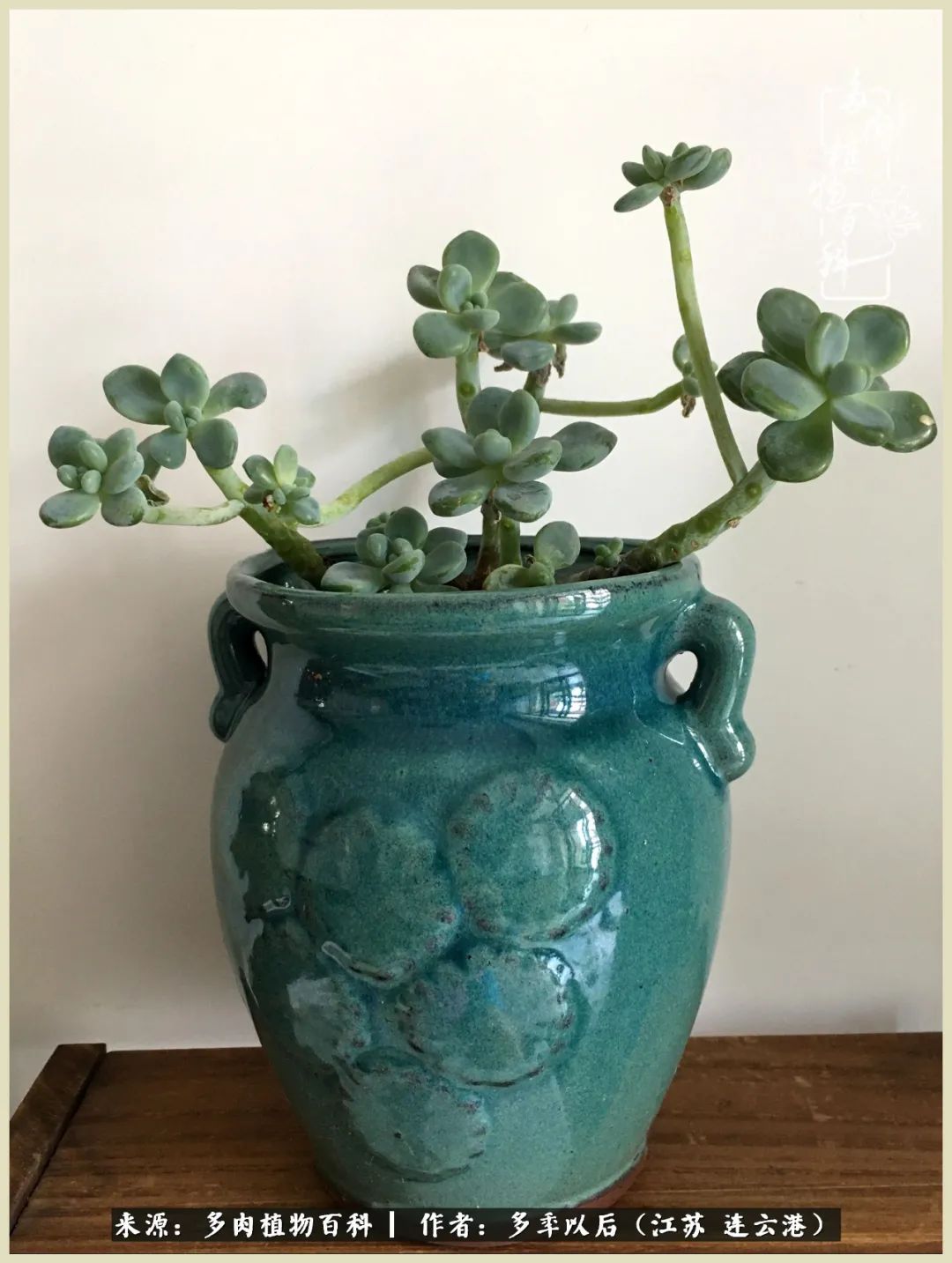 多去花前谈以后，少来月下忆当年