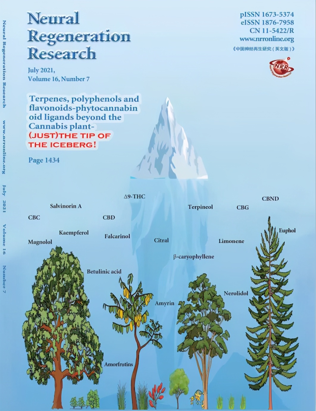 神经再生的研究,中国神经再生研究期刊怎么样
