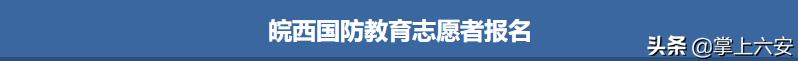 六安疫情招募志愿者,六安市疫情防控志愿者招募报名表