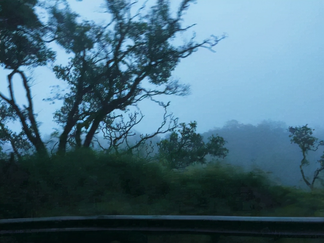 夏威夷的冬天简谱,夏威夷的冬天