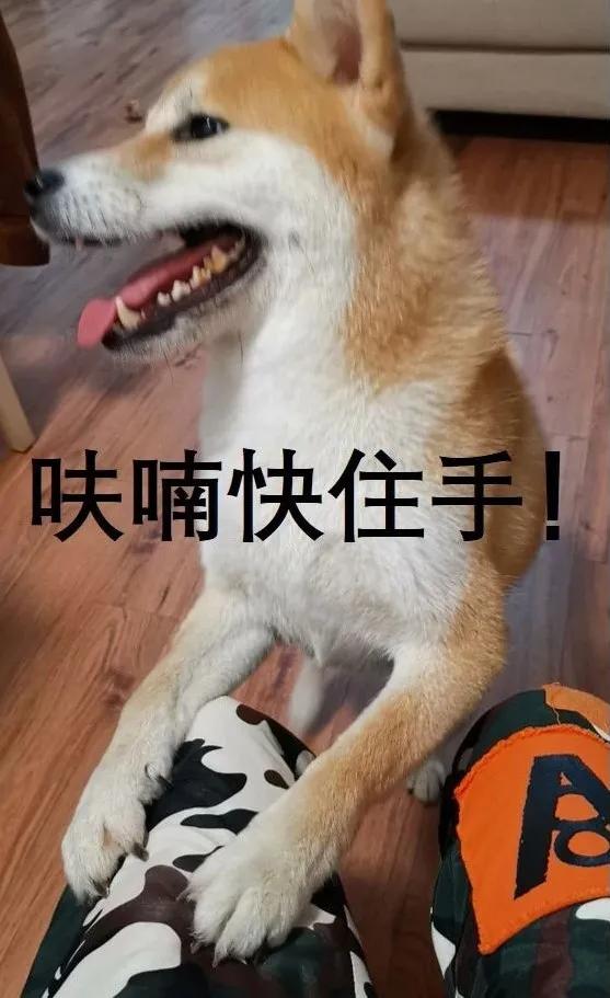 饮水机爬出蟑螂,饮水机老是有蟑螂进去怎么办