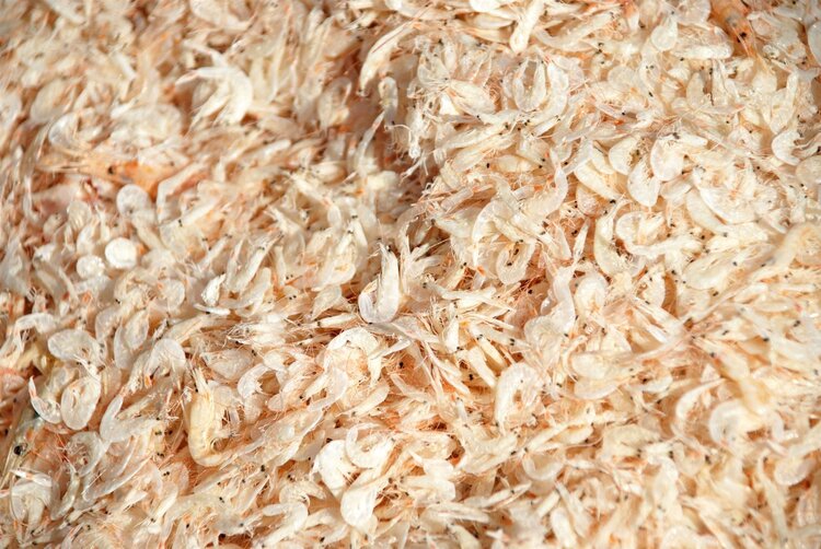 老年人吃虾补钙效果好么,骨头汤虾皮不补钙真正补钙的食品