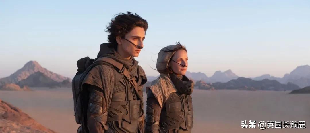 哥斯拉大战黑寡妇免费完整版,哥斯拉三大怪兽大战黑寡妇