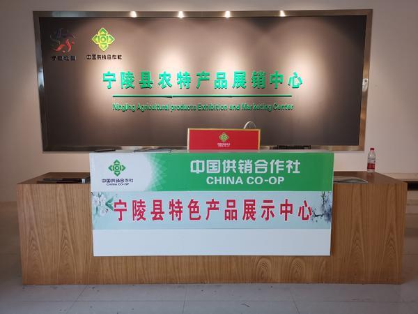 “网络是个魔盒”！河南夫妻卖掉北京房子返乡创业，一年后销售额达一千多万