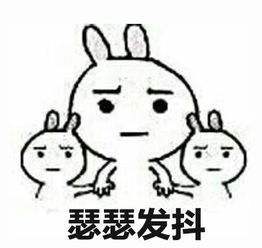 女子在湿地公园拍到豹子要吃乌龟,刚要感慨,没想到事情有了转机