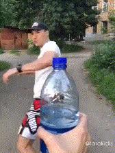 甄子丹赵文卓明星战队,甄子丹赵文卓踢瓶盖