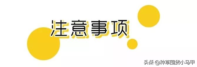 一招教你识别假代购,网上代购是真是假