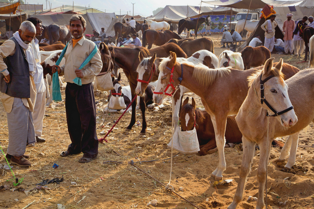 拍马都追不上的成语,拍马都赶不上的成语