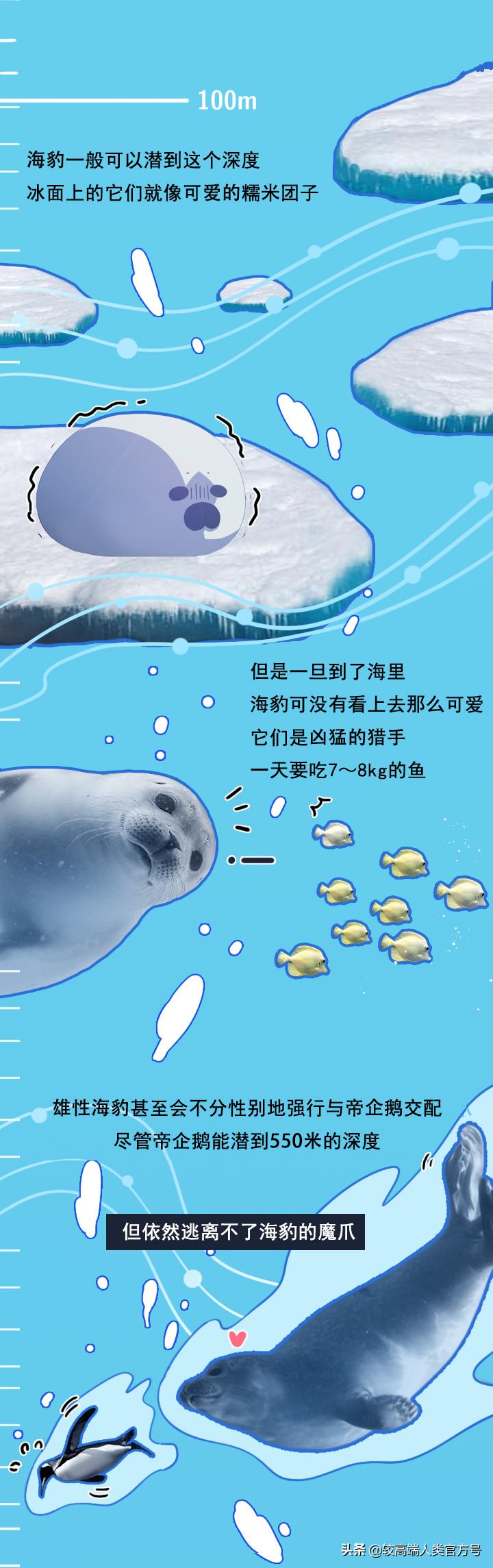 手机掉进水里十几秒有问题吗,手机掉入1000米