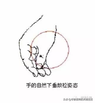 自学电子琴入门电子琴指法如何学,零基础弹电子琴教程母亲