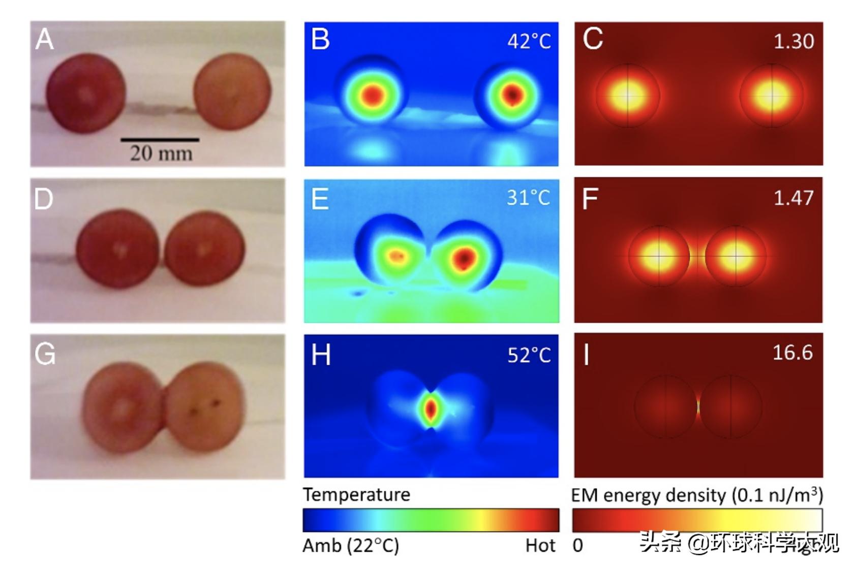 微波炉烤葡萄爆炸是真的吗,微波炉加热葡萄为何冒出火花