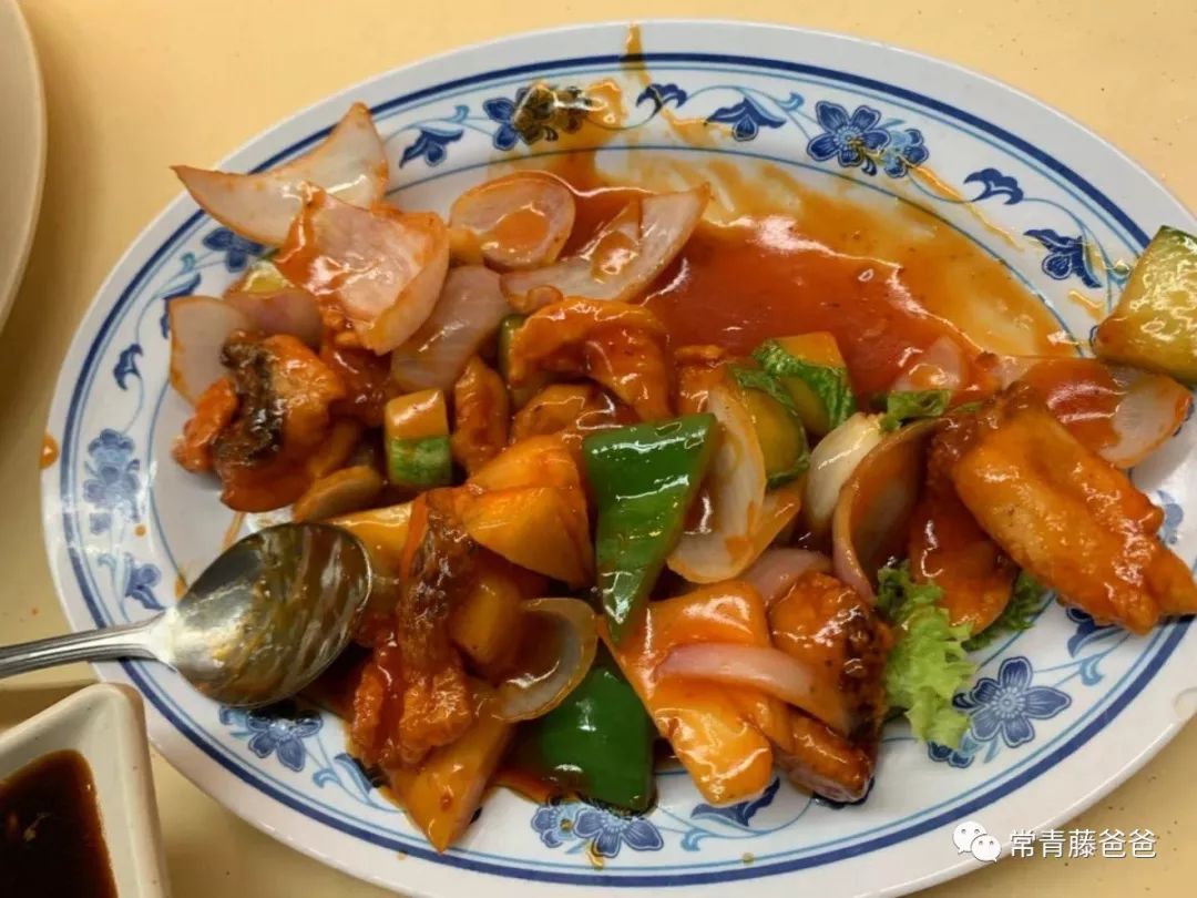 十一新加坡,十一游学新加坡