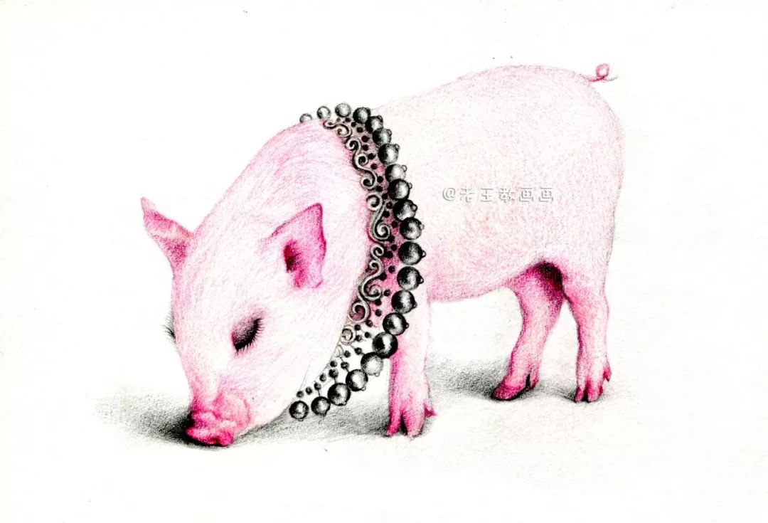 猪年画猪,猪年怎么画